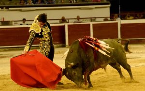 Colombo indulta en Cali