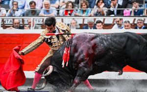 Jesús Enrique Colombo torero en Bilbao reaparición 2025